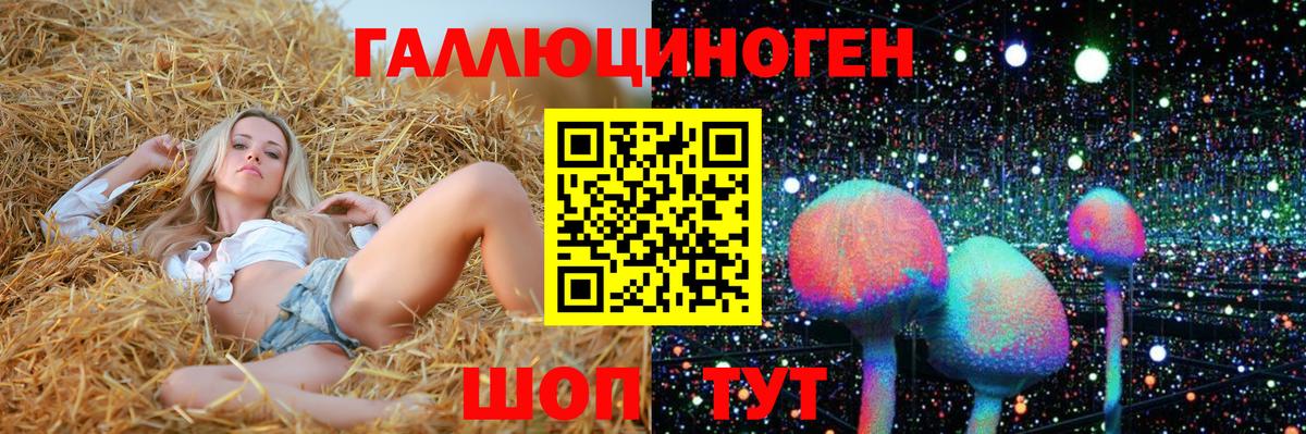 Галлюциногенные грибы мицелий Донской