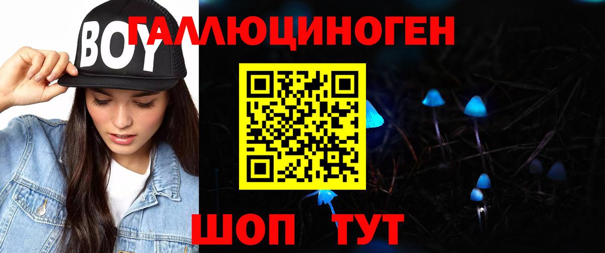 Донской  сколько стоит  Вход с VPN  Псилоцибиновые грибы Cubensis 