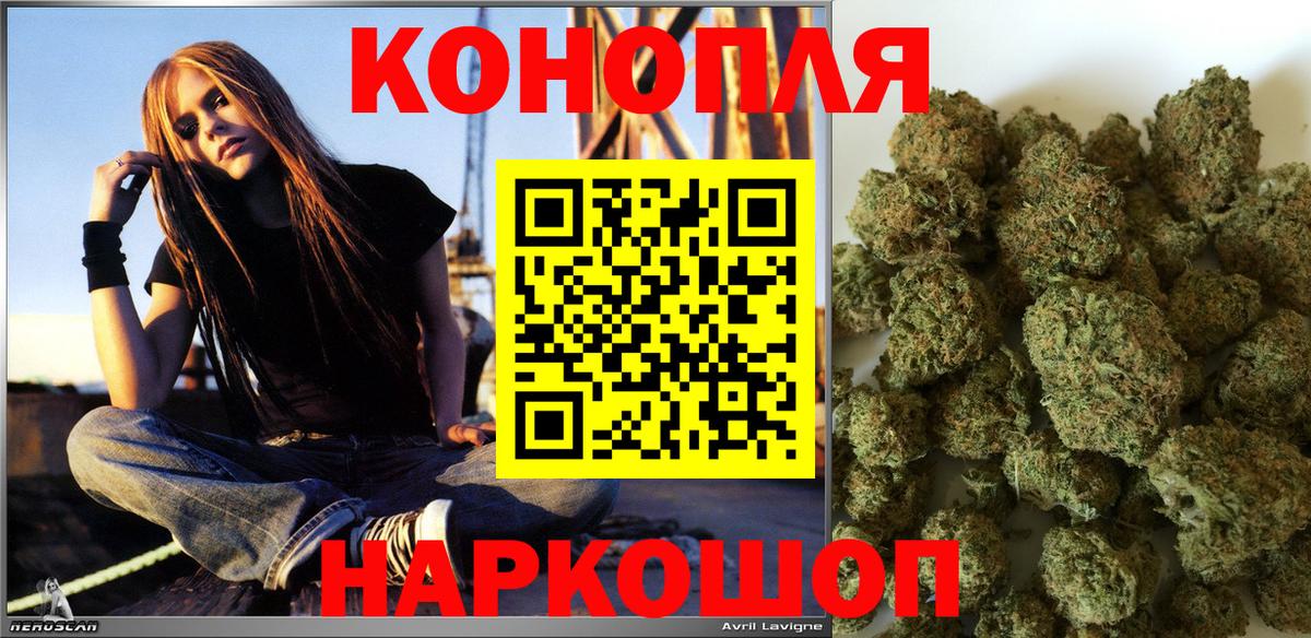 Бошки Шишки план Донской